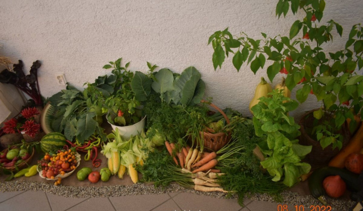 Zobraziť fotografiu