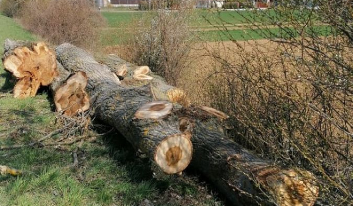 Zobraziť fotografiu