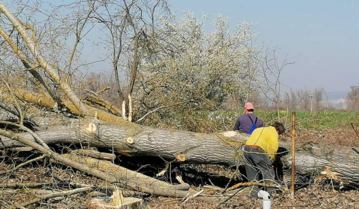 Zobraziť fotografiu