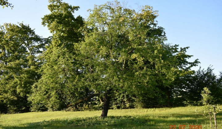Zobraziť fotografiu