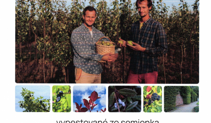 Fotka - Škôlka, sadárstvo a záhradníctvo DOMOV STROMOV - Moravské Lieskové