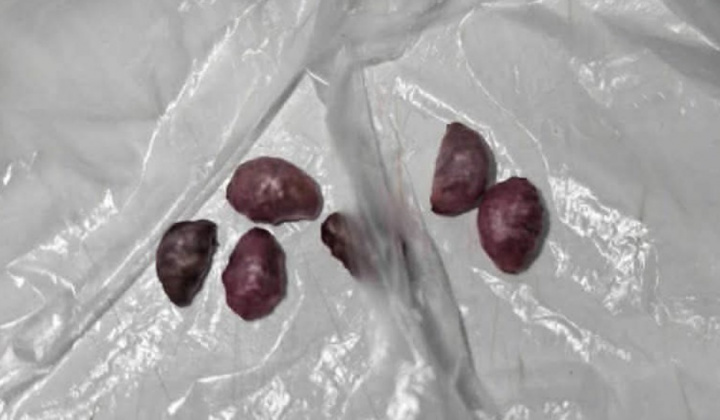 Fotka - Upozornenie - otrava psov